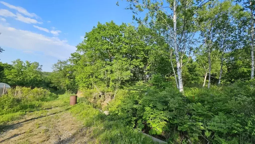 Участок в Приморский край, Надеждинский район, Аргус СНТ ул. 9-я ... - Фото 1