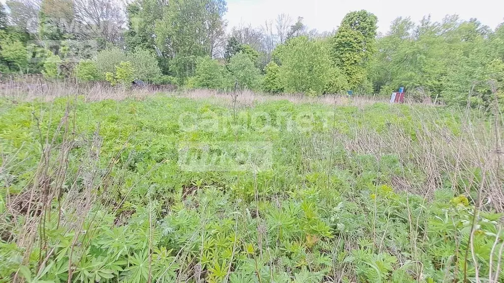 Участок в Курская область, Курский район, Нижнемедведицкий сельсовет, ... - Фото 0