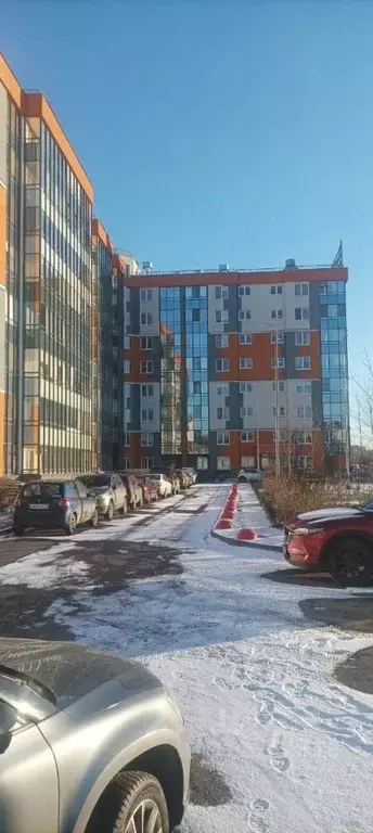 Студия Ленинградская область, Всеволожский район, Янино-1 городской ... - Фото 0