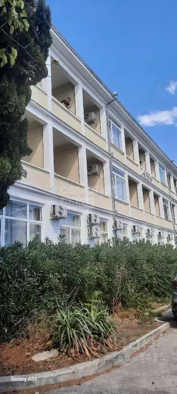 Студия Крым, Ялта муниципальный округ, Симеиз пгт ул. Владимира ... - Фото 1