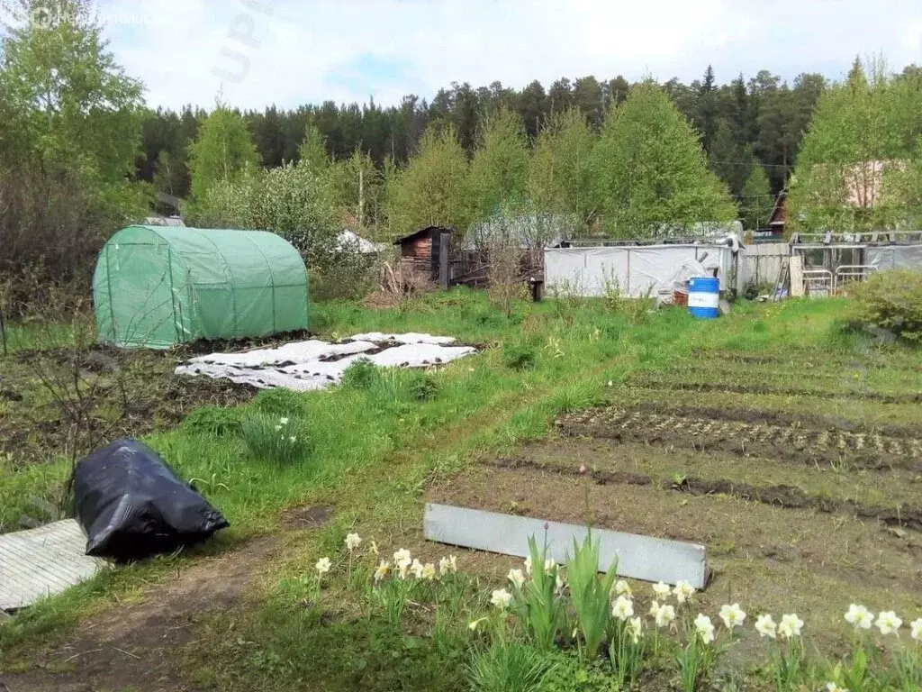 Участок в Красноярск, СНТ Победа (9.3 м) - Фото 1