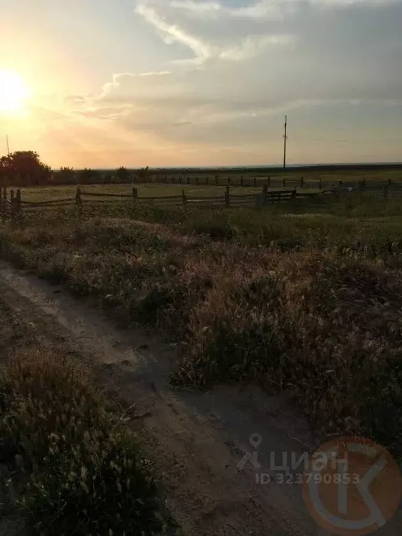 Участок в Крым, Черноморский район, с. Далекое ул. Советская, 59 (12.0 ... - Фото 1