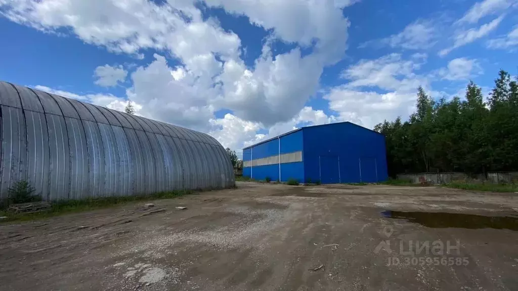 Склад в Новгородская область, Новгородский район, Панковское городское ... - Фото 0
