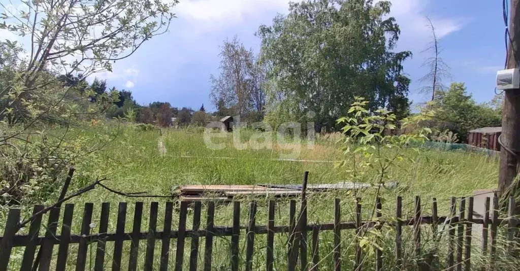 Участок в Омск, садоводческое некоммерческое товарищество Садовод (6 ... - Фото 2