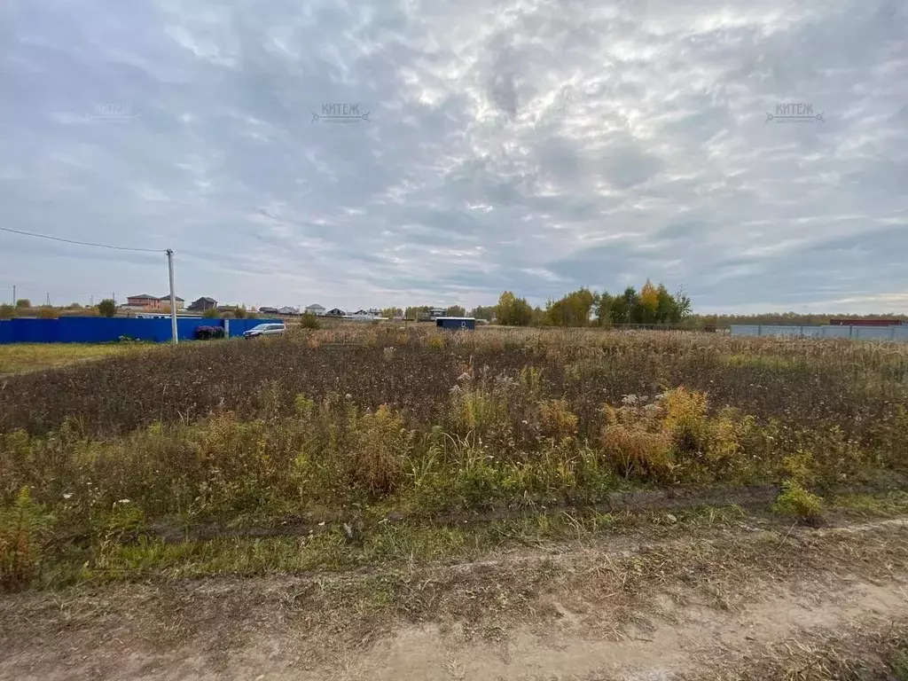 Участок в Калужская область, Бабынинский район, Воротынск городское ... - Фото 1