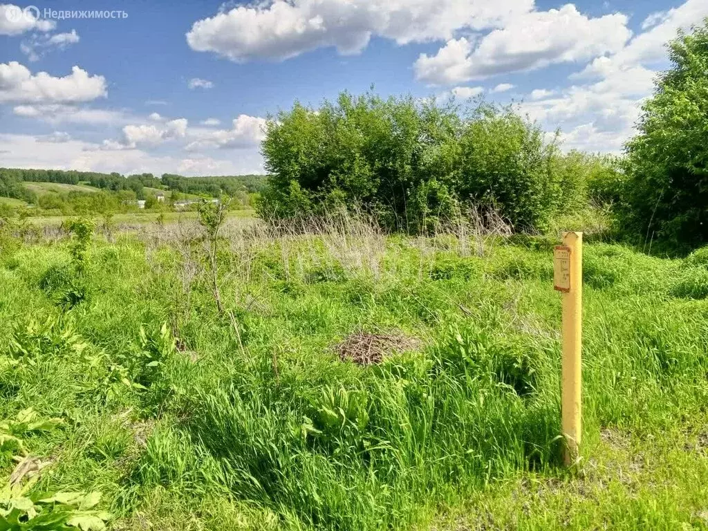 Участок в село Косиха, Юбилейная улица (8 м) - Фото 0