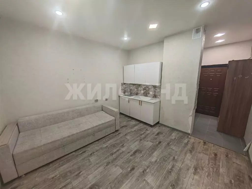 Студия Новосибирская область, Новосибирск ул. Твардовского, 22 (20.0 ... - Фото 1