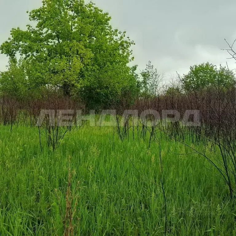 Участок в Ростовская область, Октябрьский район, пос. Персиановский, ... - Фото 2