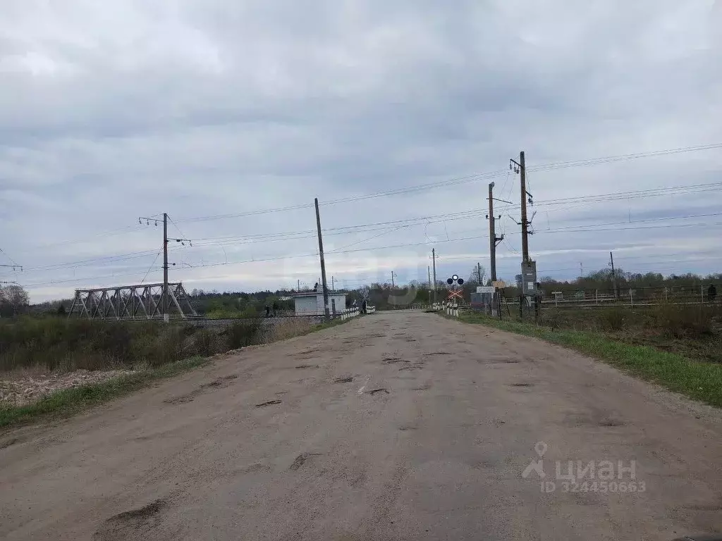 Участок в Ленинградская область, Волховский район, Колчановское с/пос, ... - Фото 1