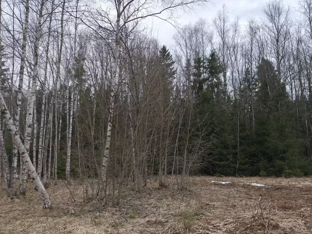 Участок в Московская область, Сергиево-Посадский городской округ, ... - Фото 2