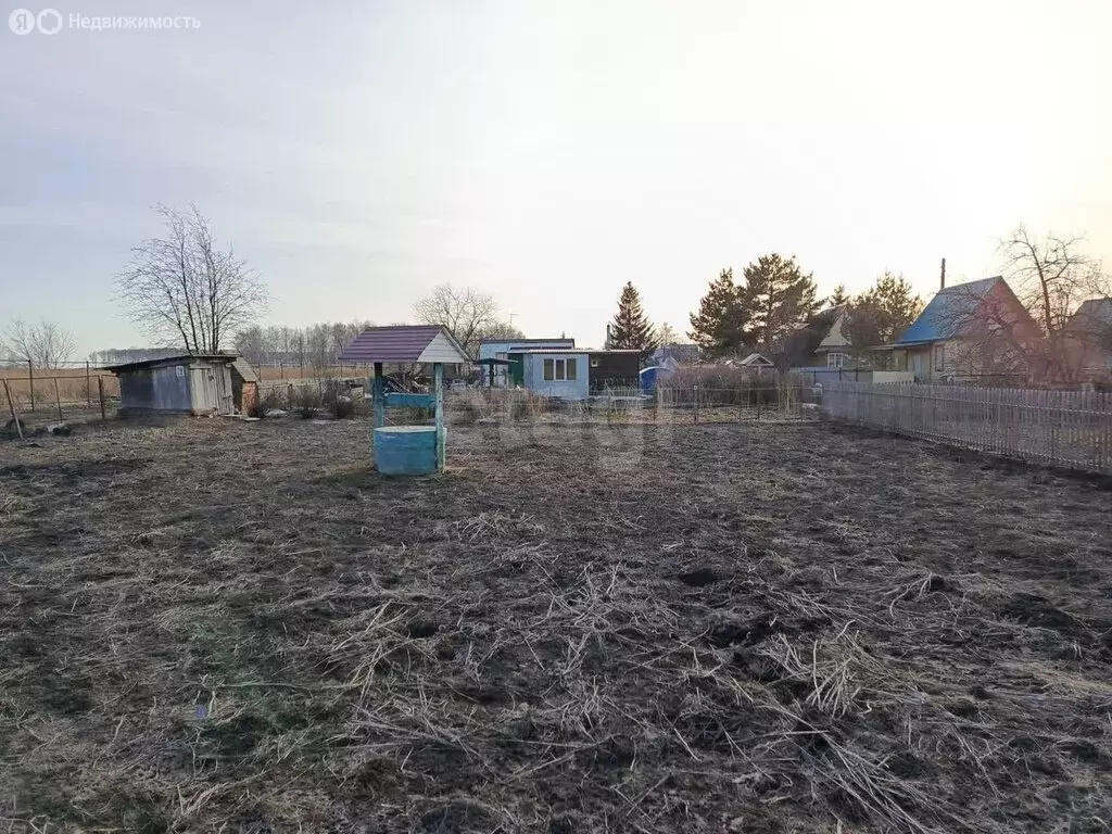Участок в Омск, территория СОСН Золотой Ранет, 1-я аллея (566 м) - Фото 1