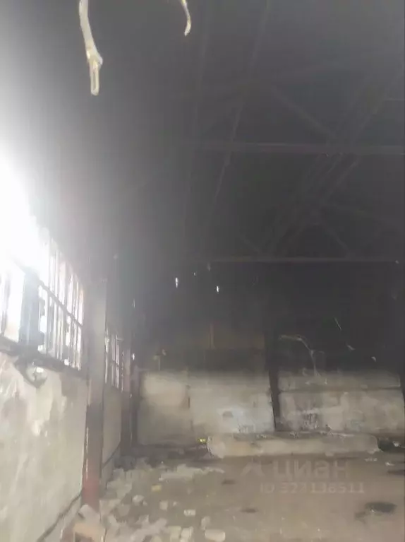 Помещение свободного назначения в Пермский край, Добрянский ... - Фото 1