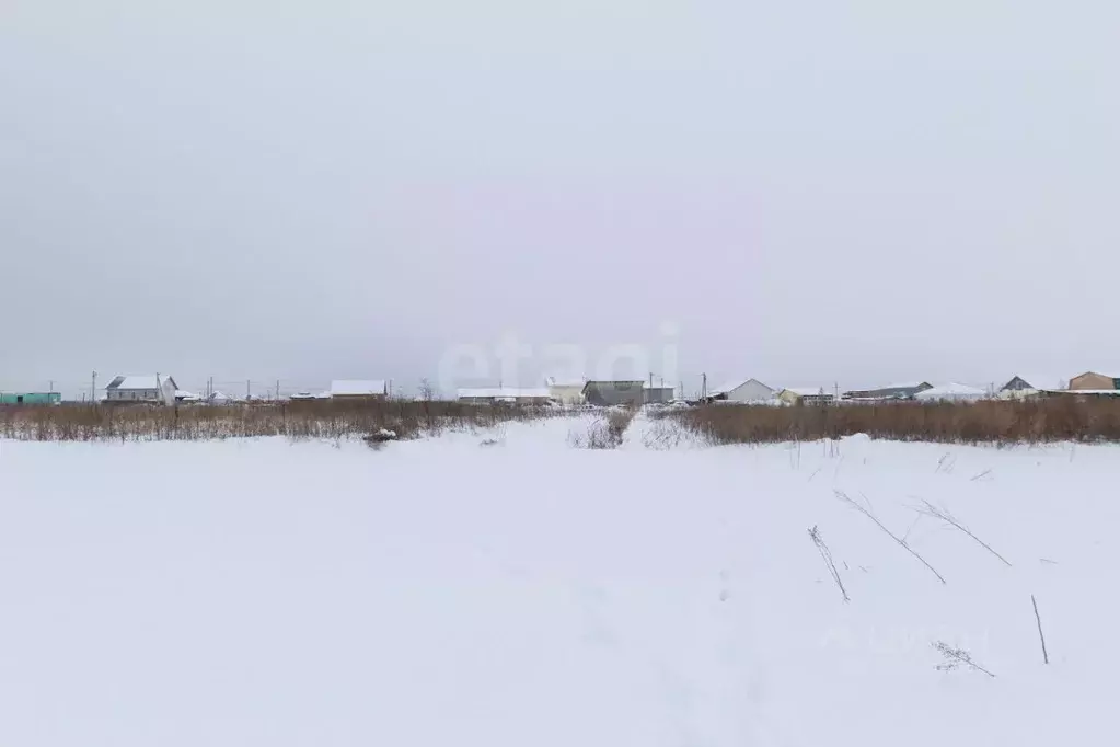 Участок в Тюменская область, Тюменский муниципальный округ, Садовые ... - Фото 1