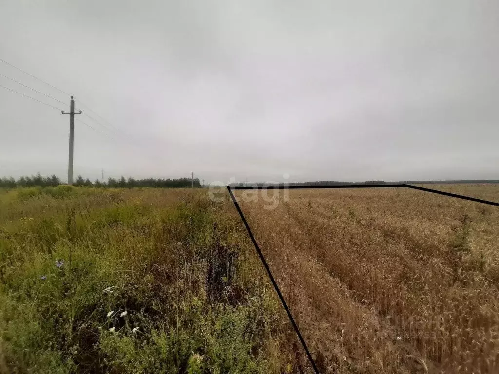 Участок в Московская область, Коломна городской округ, д. Зиновьево ... - Фото 1