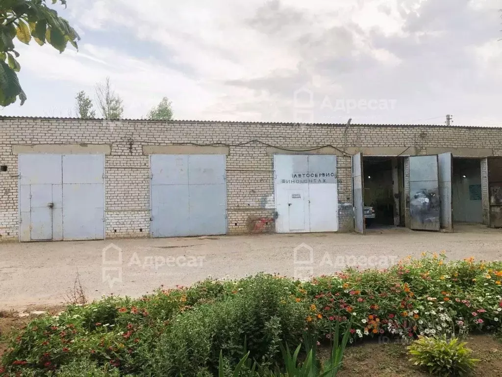 Гараж в Волгоградская область, Светлый Яр рп пер. Театральный (162 м) - Фото 1