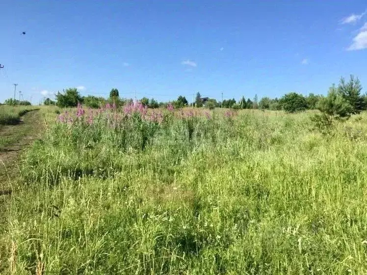 Участок в Кемеровская область, Кемеровский муниципальный округ, с. ... - Фото 1