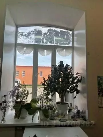 Помещение свободного назначения в Пензенская область, Нижний Ломов ул. ... - Фото 2
