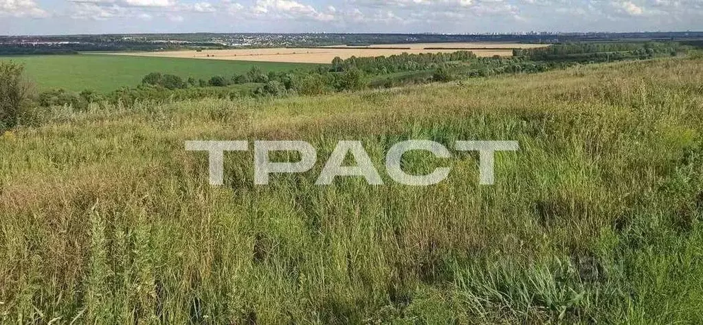 Участок в Воронежская область, Рамонский район, Русскогвоздевское ... - Фото 0