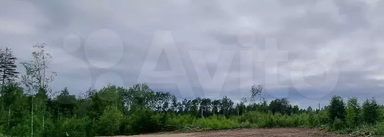 Участок 10,6 сот. (ИЖС) - Фото 0