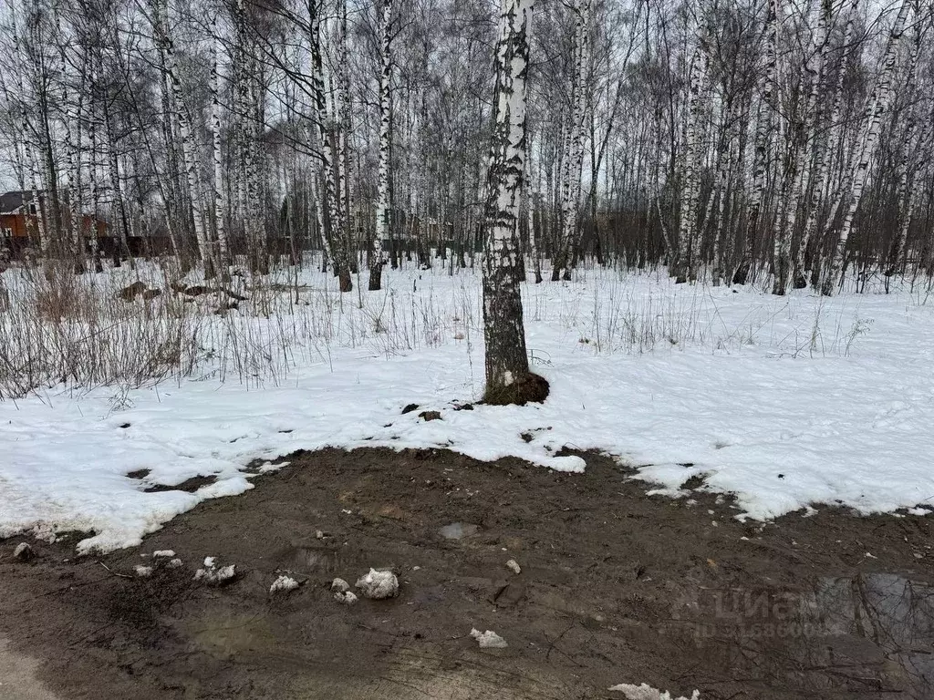 Участок в Московская область, Богородский городской округ, имени ... - Фото 1