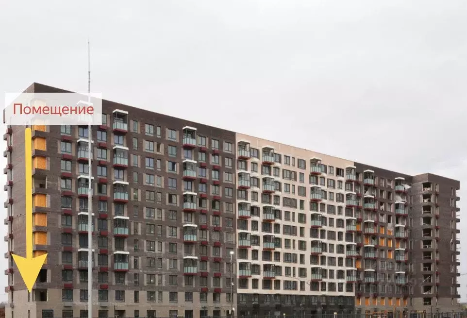 Торговая площадь в Московская область, Ленинский городской округ, д. ... - Фото 2