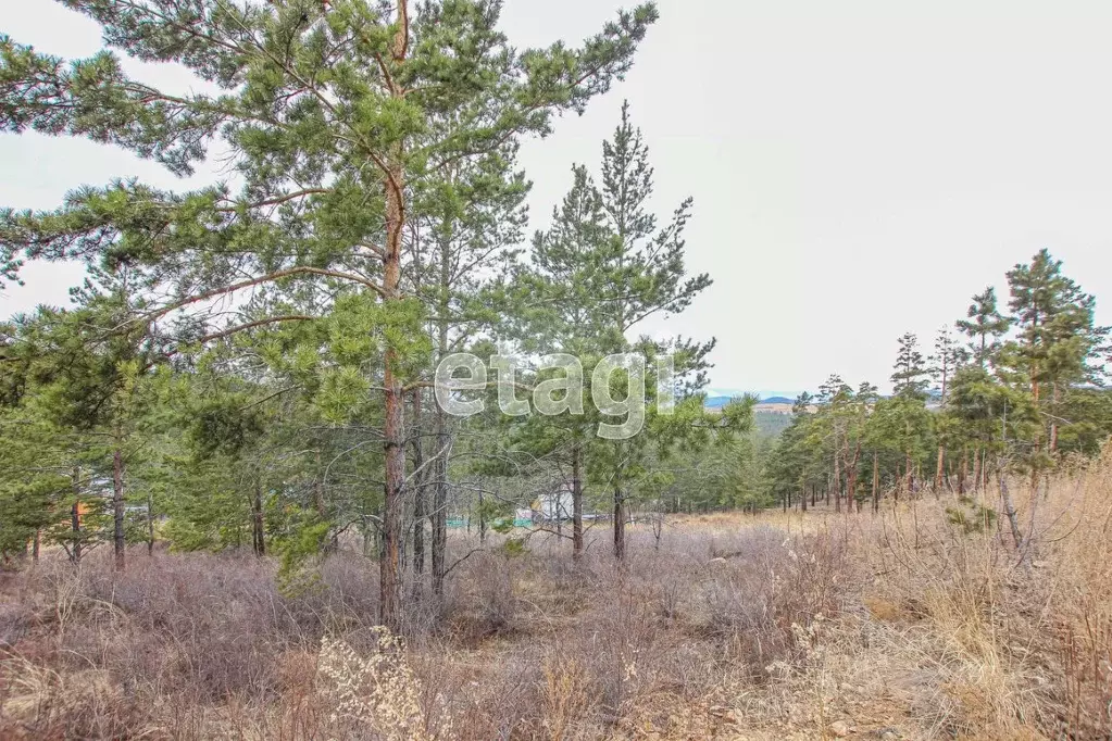 Участок в Бурятия, Улан-Удэ ул. Семейная (8.0 сот.) - Фото 0
