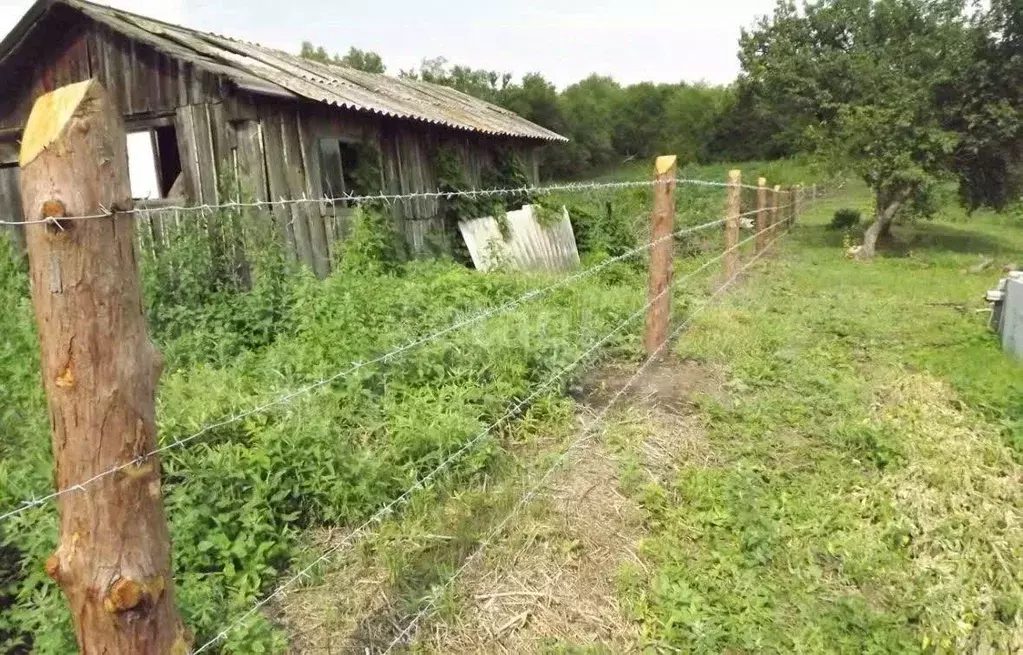 Участок в Амурская область, Ивановский муниципальный округ, с. ... - Фото 1