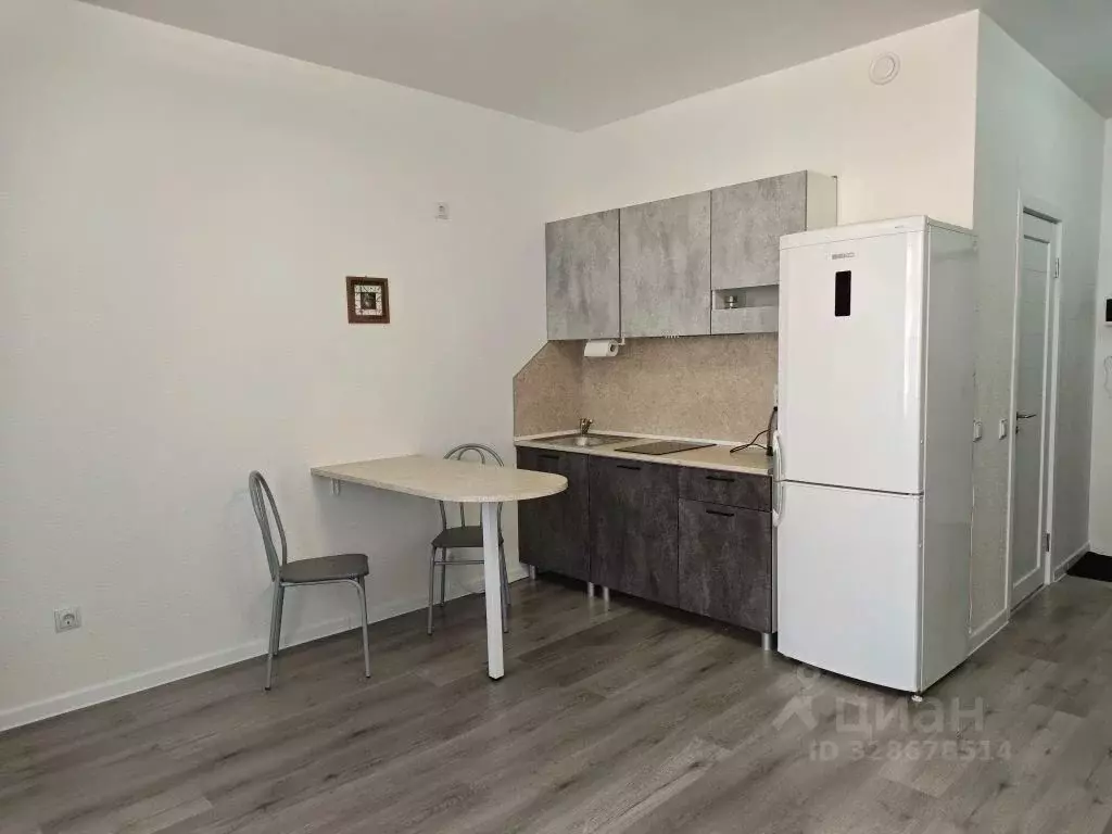 Студия Ленинградская область, Всеволожский район, Свердловское ... - Фото 2