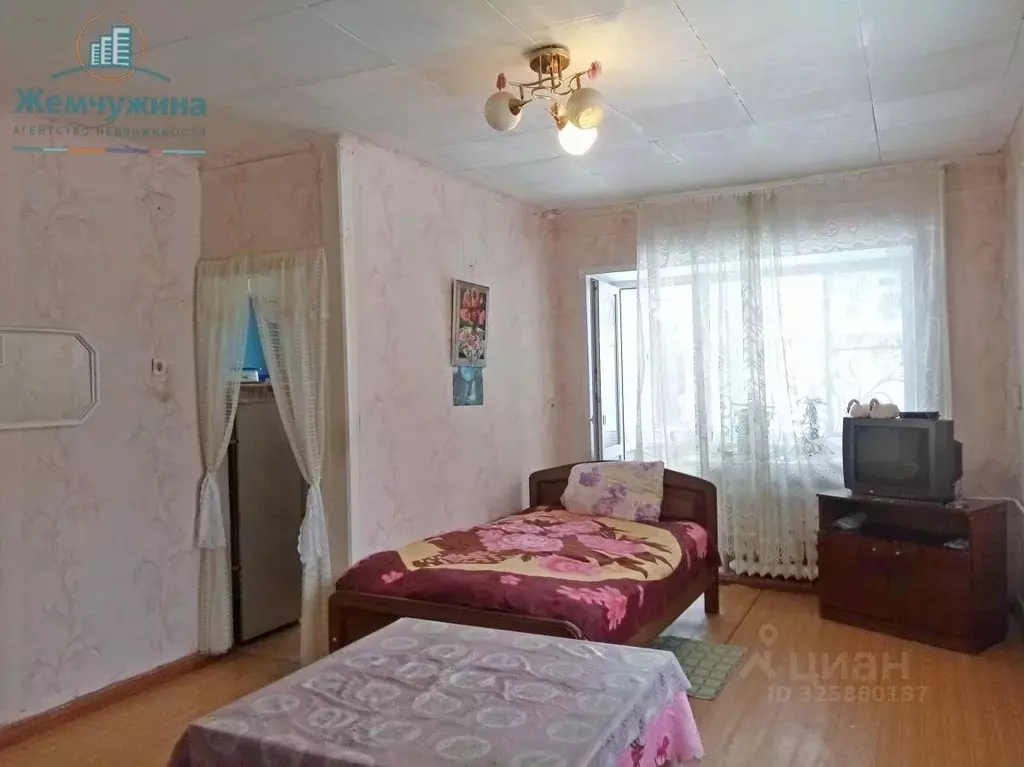 1-к кв. Ульяновская область, Димитровград ул. Власть Труда, 33 (31.52 ... - Фото 1