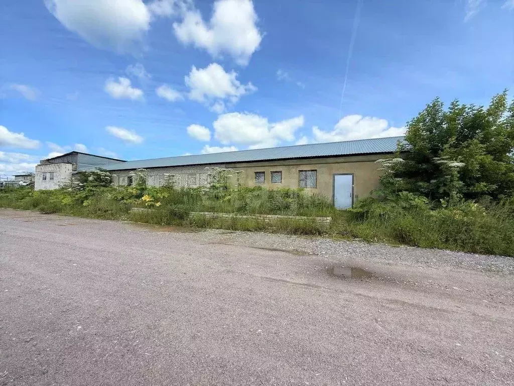 Помещение свободного назначения в Владимирская область, Петушинский ... - Фото 1