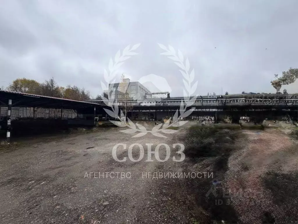 Участок в Калужская область, Калуга ул. Никитина, 139 (8.0 сот.) - Фото 2