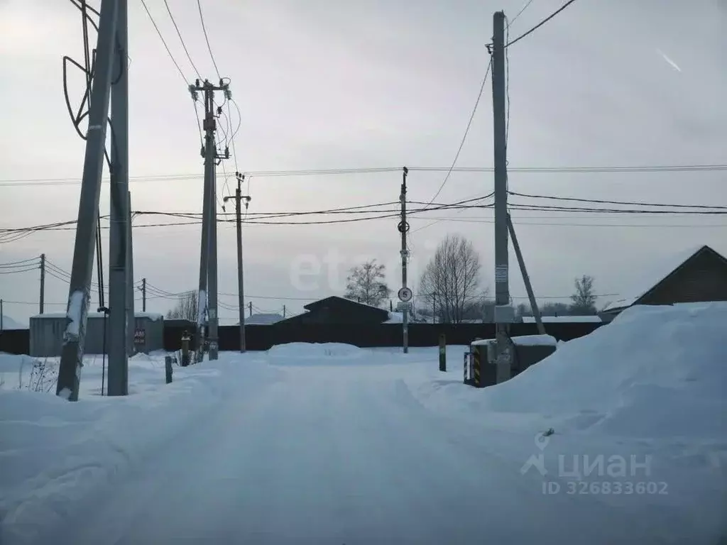 Участок в Новосибирская область, Новосибирский район, Кубовинский ... - Фото 2