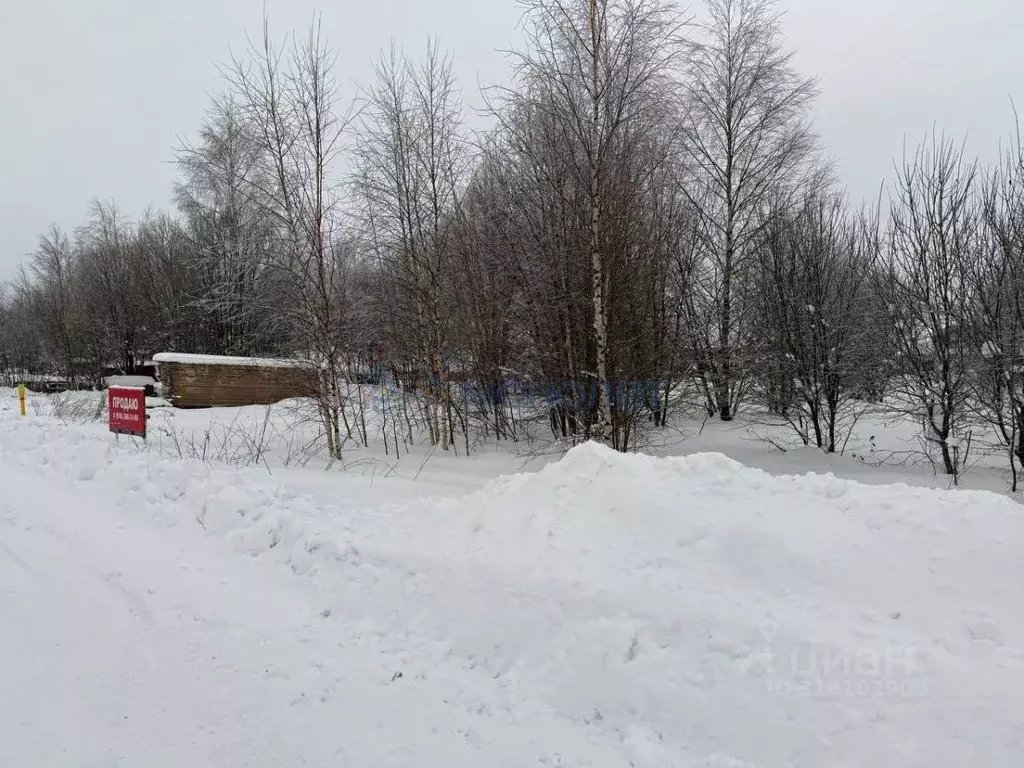 Участок в Нижегородская область, с. Дивеево ул. Дружная, 7 (20.6 сот.) - Фото 1