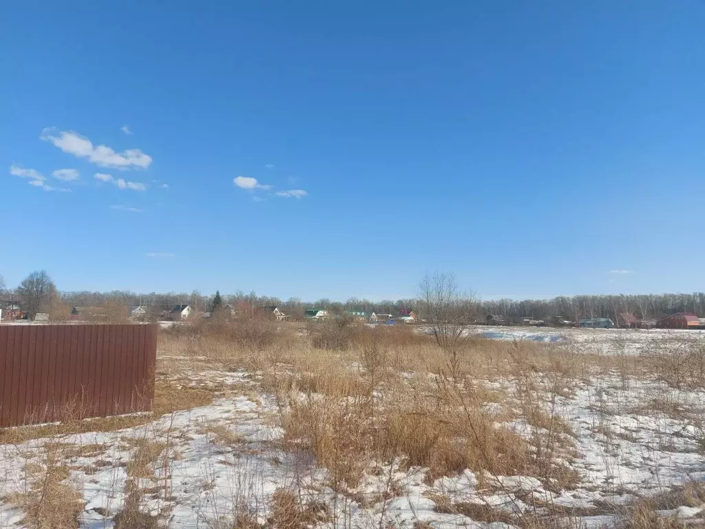 Участок в Московская область, Луховицы муниципальный округ, д. ... - Фото 2