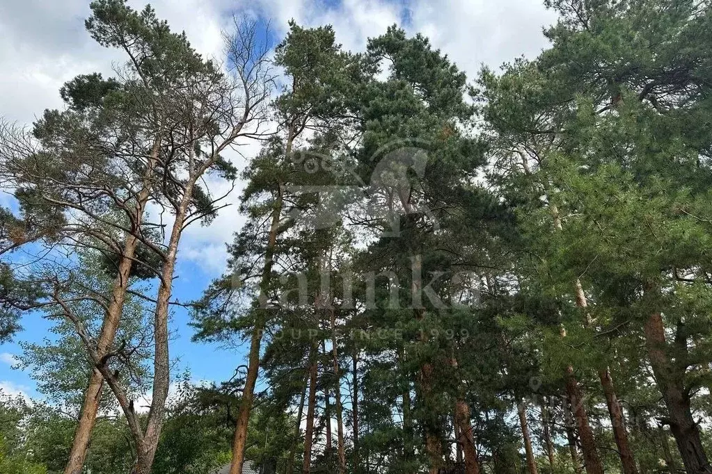 Участок в Московская область, Одинцовский городской округ, пос. ... - Фото 1