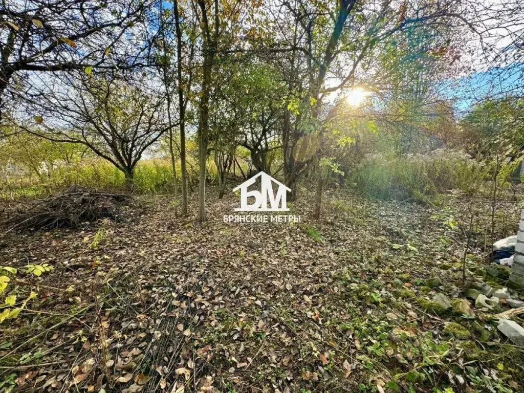 Участок в Брянская область, Брянский район, Снежское с/пос, с. ... - Фото 1