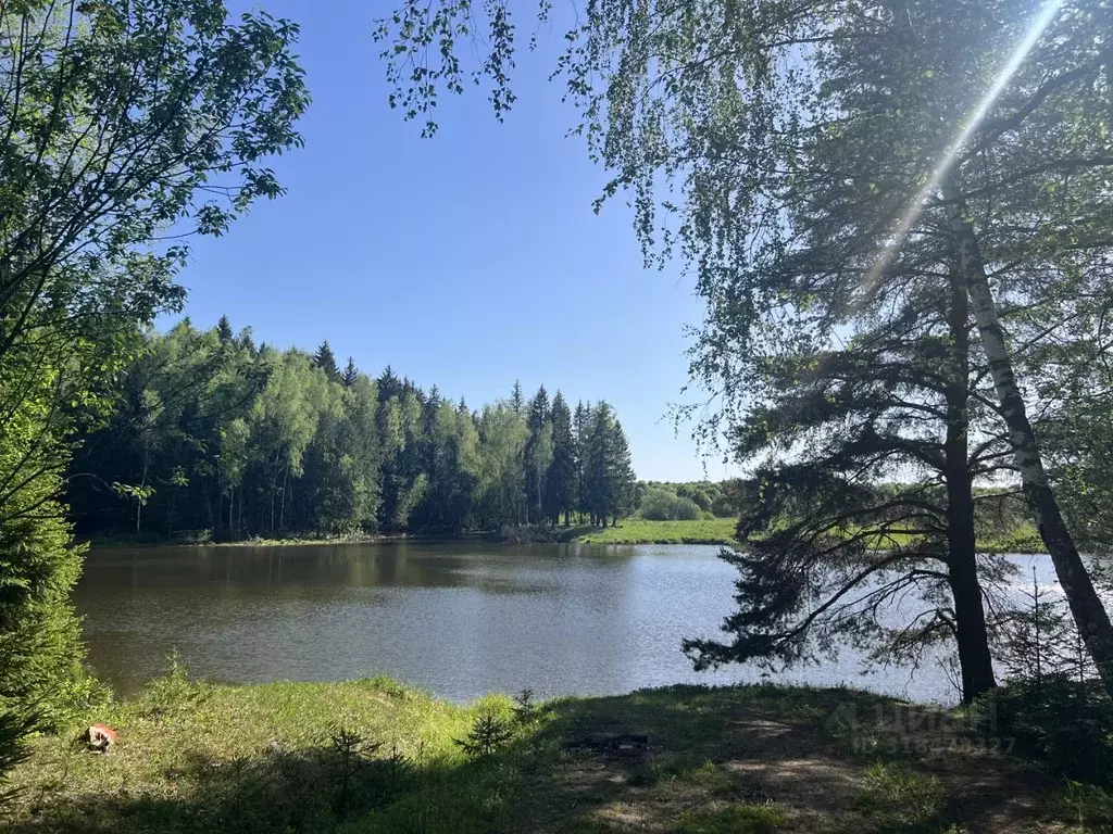 Участок в Московская область, Ступино городской округ, с. Хатунь ул. ... - Фото 1