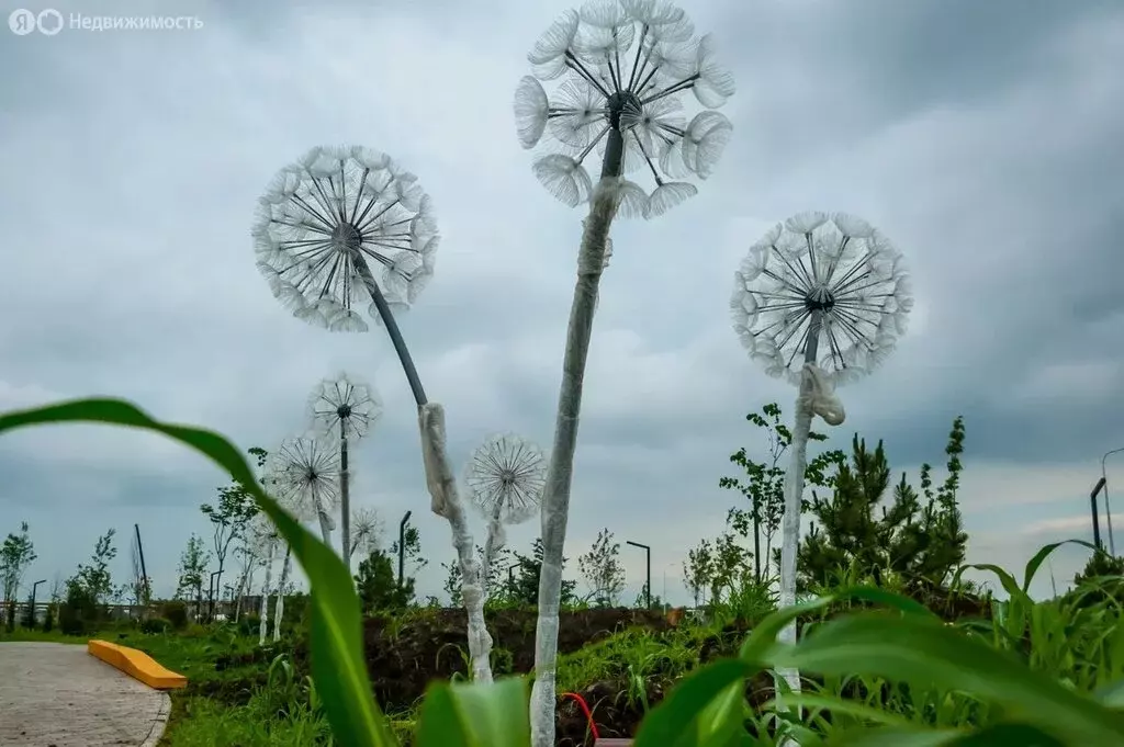 Дом в Краснодар, микрорайон Новая Елизаветка, Казачий проезд, 3 (235 ... - Фото 1