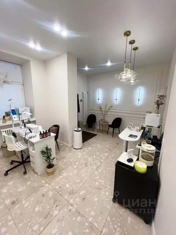 Помещение свободного назначения в Санкт-Петербург Чкаловский просп., ... - Фото 2