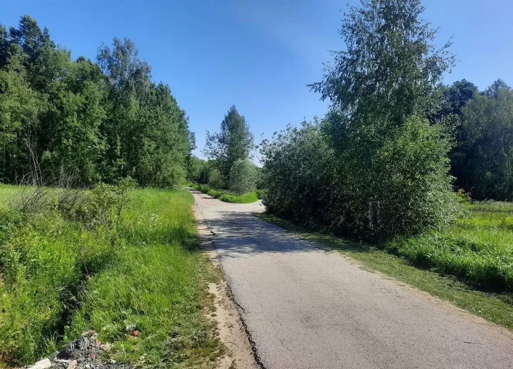 Участок в Московская область, Чехов муниципальный округ, с. Дубна ул. ... - Фото 2
