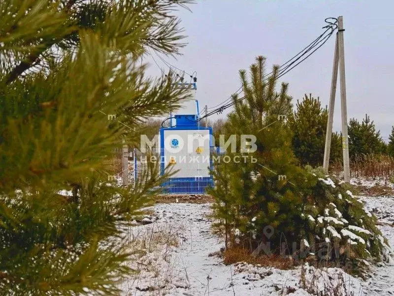 Участок в Тюменская область, Тюменский муниципальный округ, ... - Фото 1