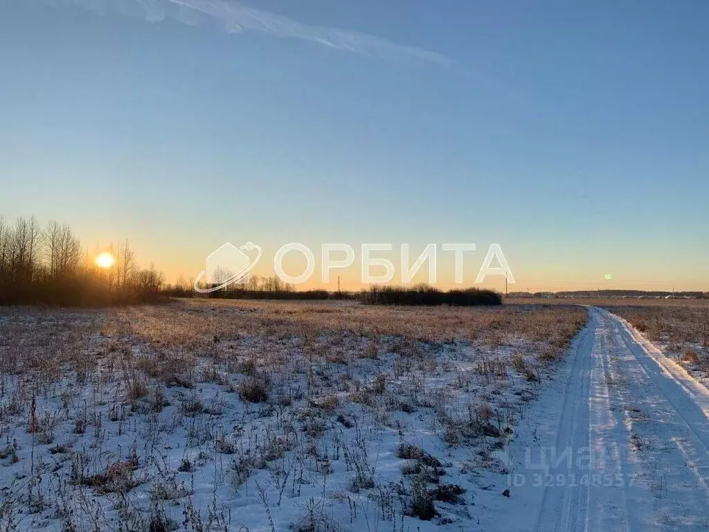 Участок в Тюменская область, Тюменский муниципальный округ, д. Елань ... - Фото 1