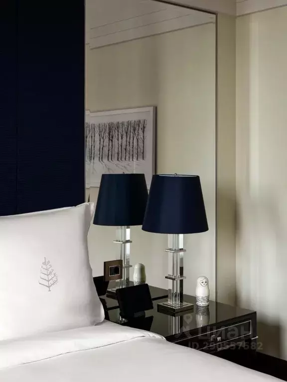 Комната Москва ул. Охотный Ряд, 2 (40.0 м) - Фото 2