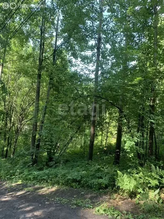 Участок в Томск, садовое товарищество Геолог-1 (8.6 м) - Фото 0