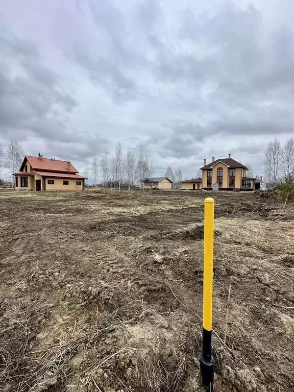 Участок в Новосибирская область, Новосибирский район, Барышевский ... - Фото 1