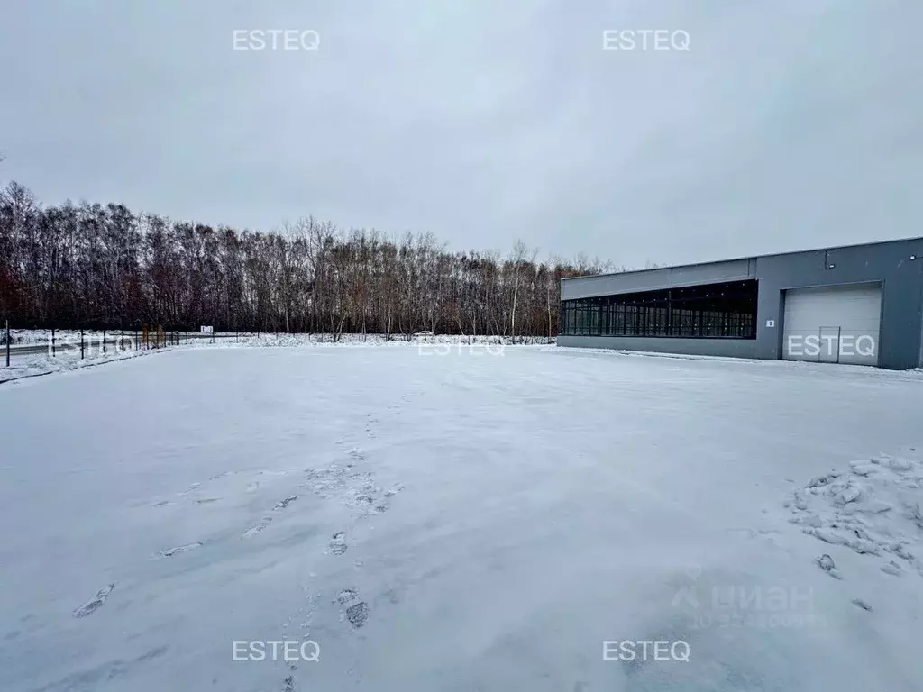 Помещение свободного назначения в Новосибирская область, Новосибирск ... - Фото 1