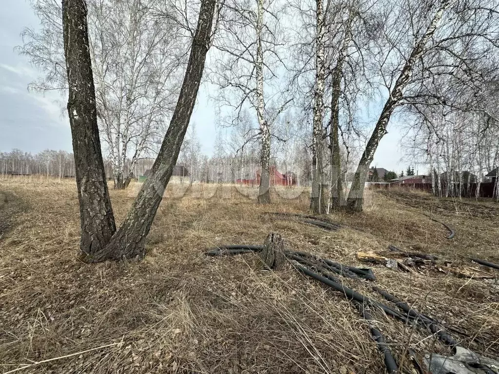 Участок в Новосибирская область, Новосибирский район, с. Боровое ул. ... - Фото 1