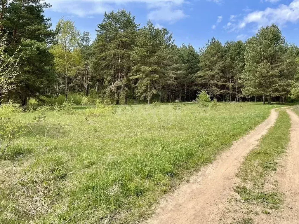 Участок в Калужская область, Дзержинский муниципальный округ, Дворцы ... - Фото 2