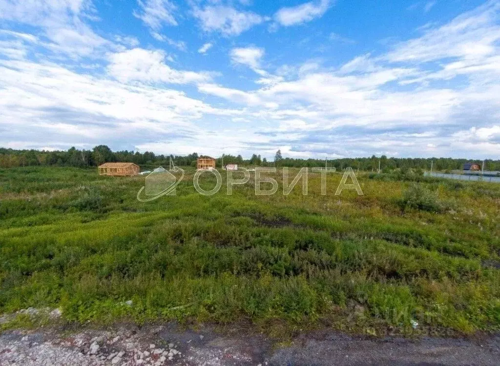 Участок в Тюменская область, Нижнетавдинский муниципальный округ, ... - Фото 1