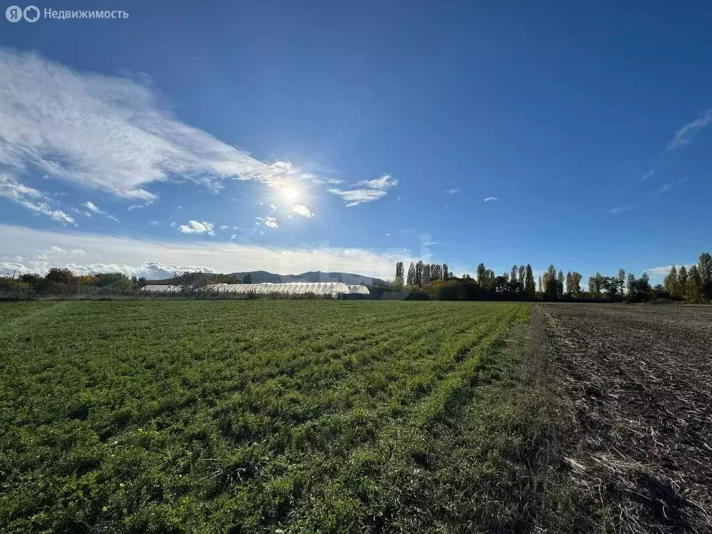 Участок в Абрикосовское сельское поселение, село Кринички, Трудовая ... - Фото 2